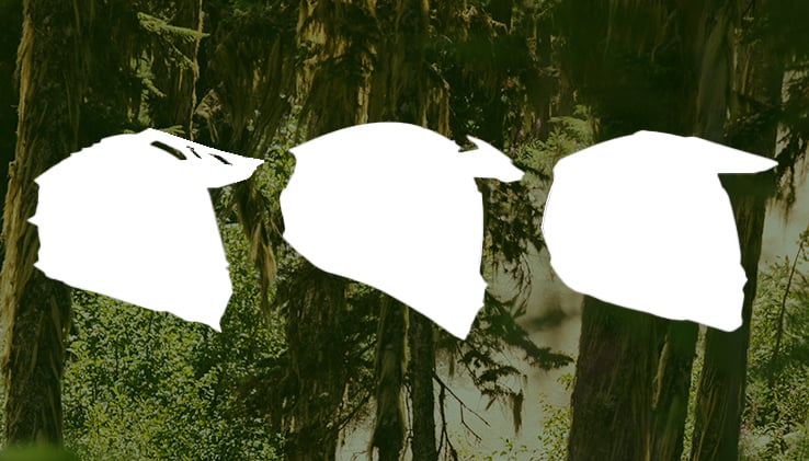 RS_VisuelsBlogue_738x421_09-25